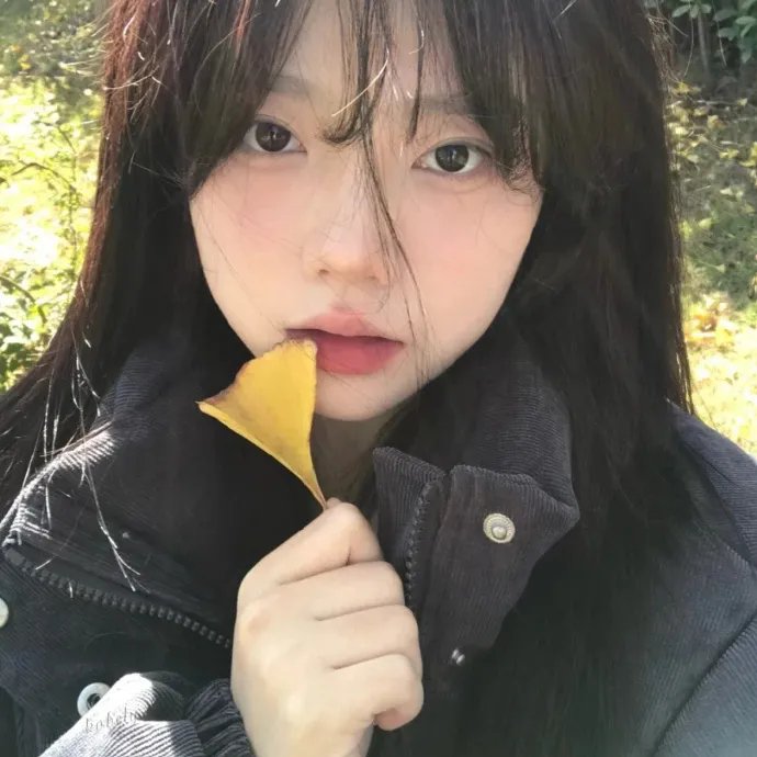 小小车手