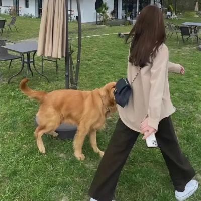 内裤队长吓鬼记