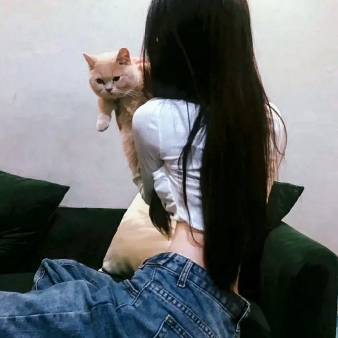 迈阿密行动